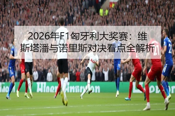 2026年F1匈牙利大奖赛：维斯塔潘与诺里斯对决看点全解析